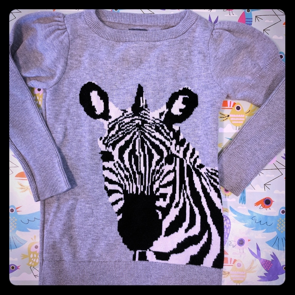 💞💞New Item💞 Baby Gap sweater