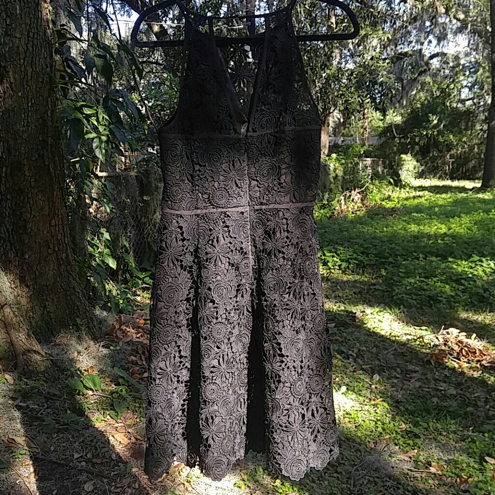 Black lace white house black market dress sz8 - Picture 2 of 3