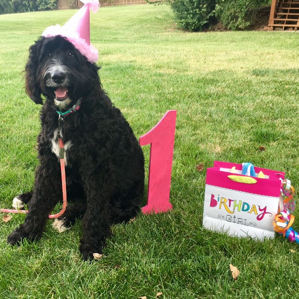 🎀 Bentley Turns  1 🎀