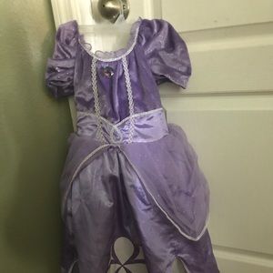 Disney Princess Sofia costume dress