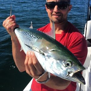 Meet your Posher, Alden