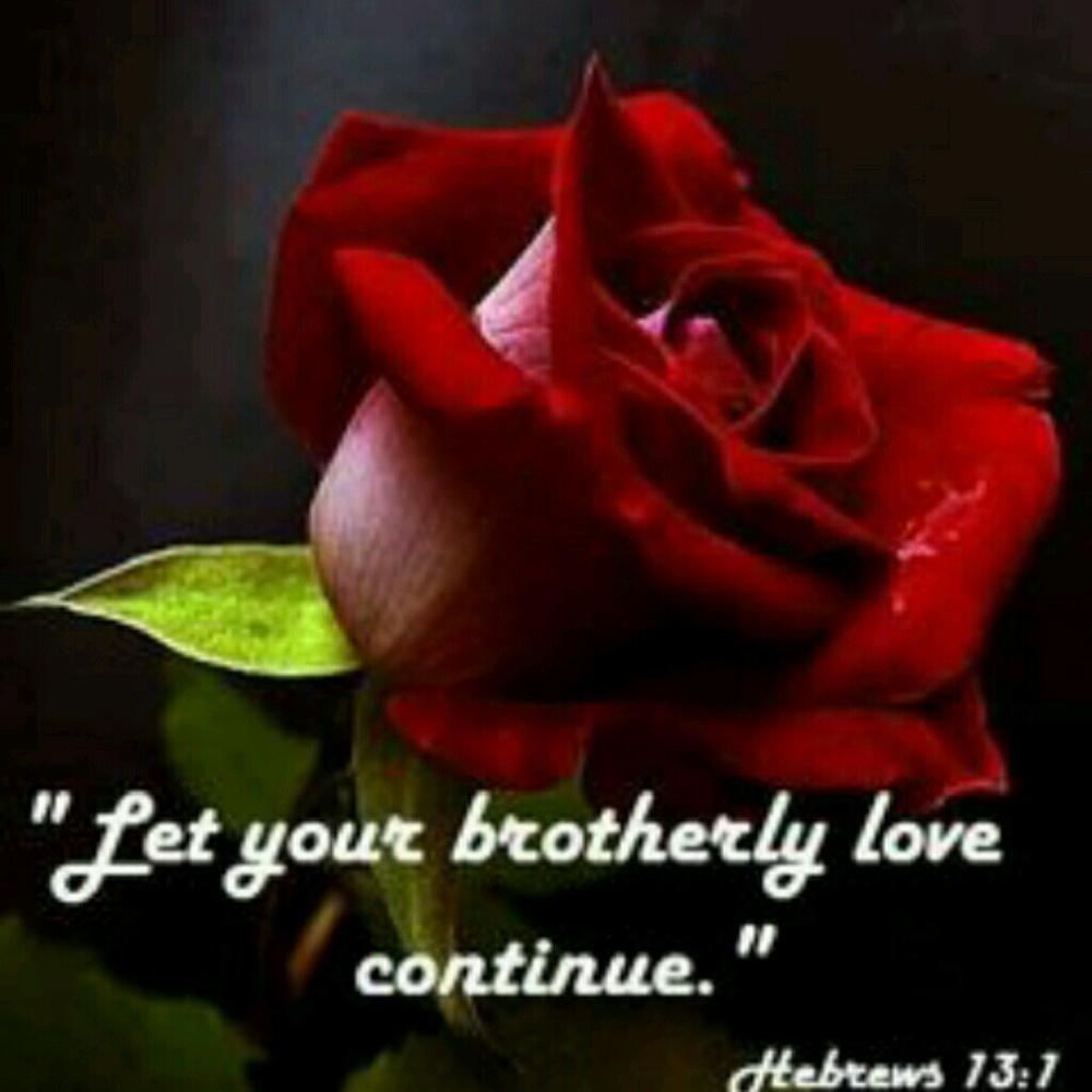 Meet your Posher, Emily aka Emmy