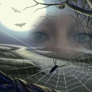 Meet your Posher, Jane