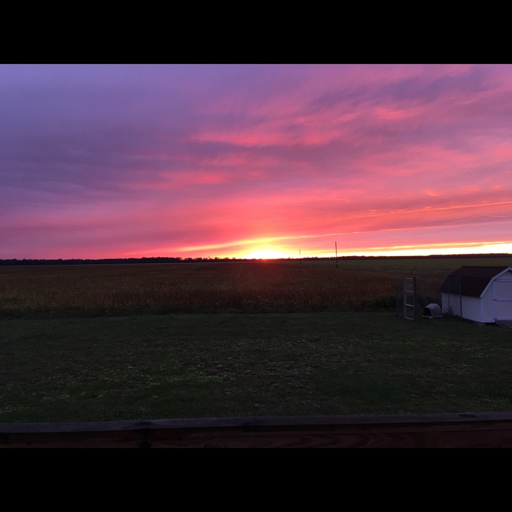 Meet your Posher, Chelsea