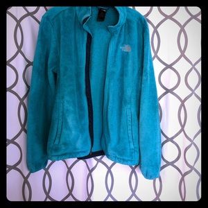 blue/green north face jacket