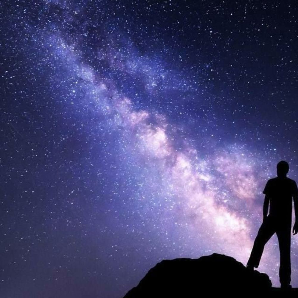 Meet your Posher, Gerald