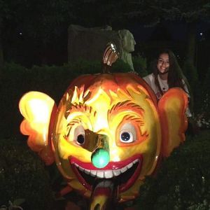 Meet your Posher, Josie