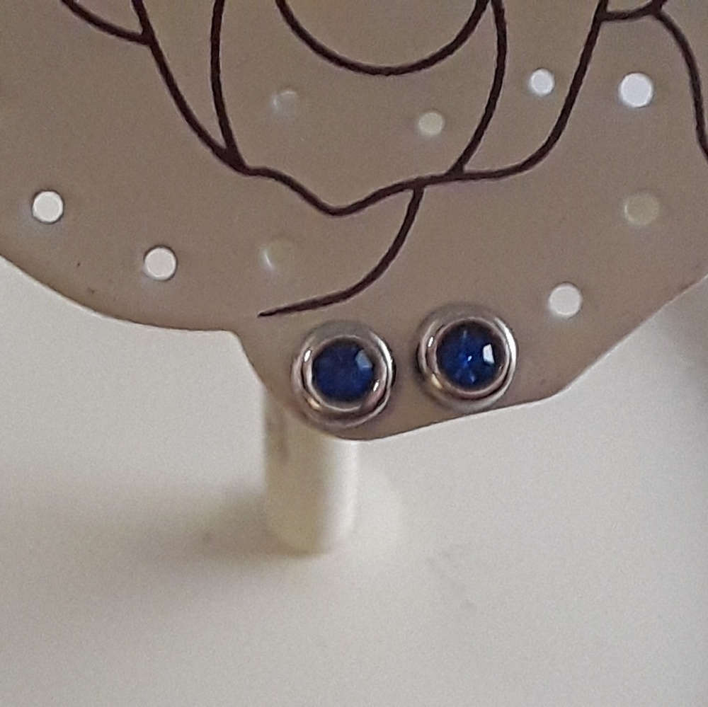 Blue CZ Silver Earrings