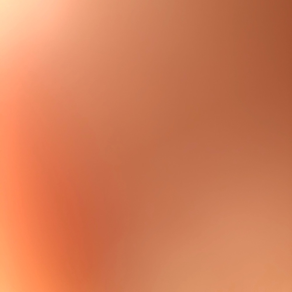 Meet your Posher, Fidel