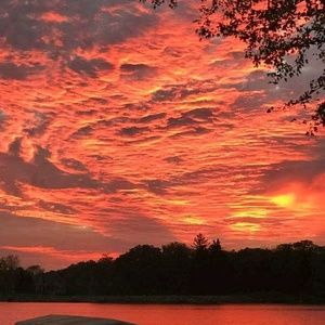 Meet your Posher, Charlotte