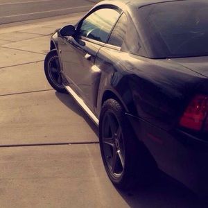 Meet your Posher, Ali