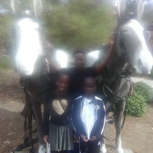 Meet your Posher, Aaron