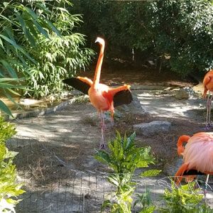 Meet your Posher, Jeff