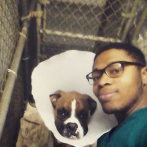 Meet your Posher, Darius