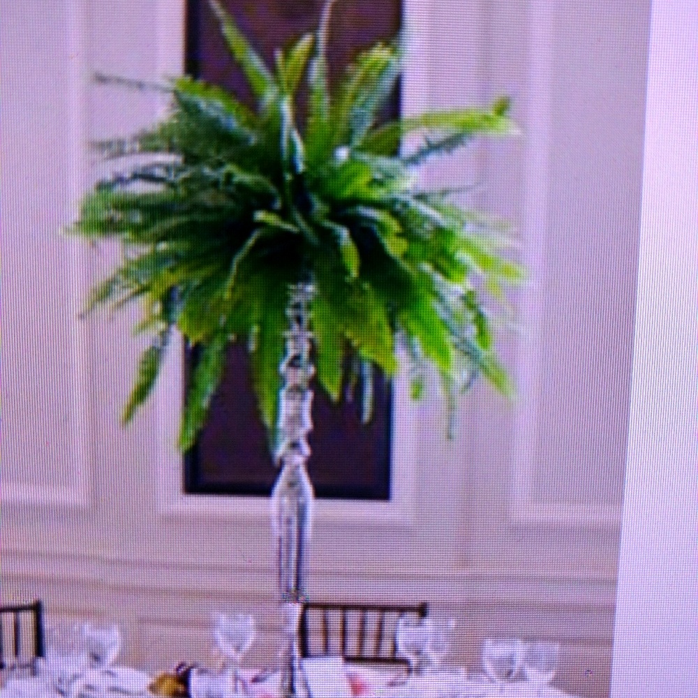 Meet your Posher, Chantale