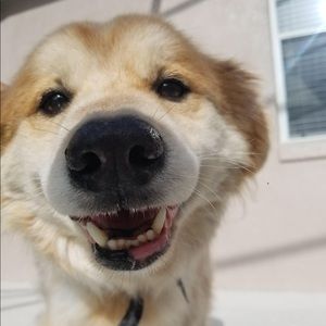 Meet your Posher, Adriana