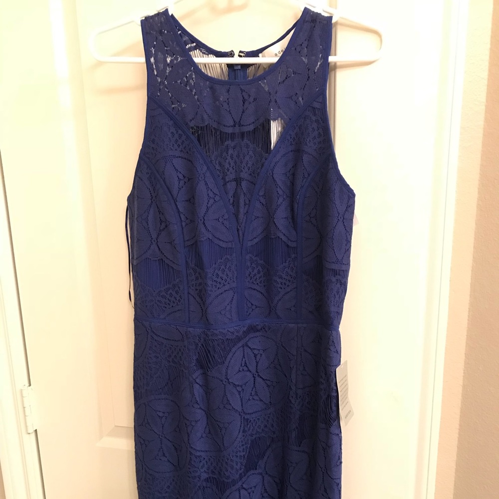 Royal Blue Lace Cocktail Dress