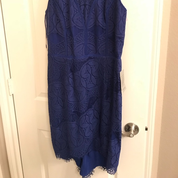 Royal Blue Lace Cocktail Dress - Picture 4 of 5