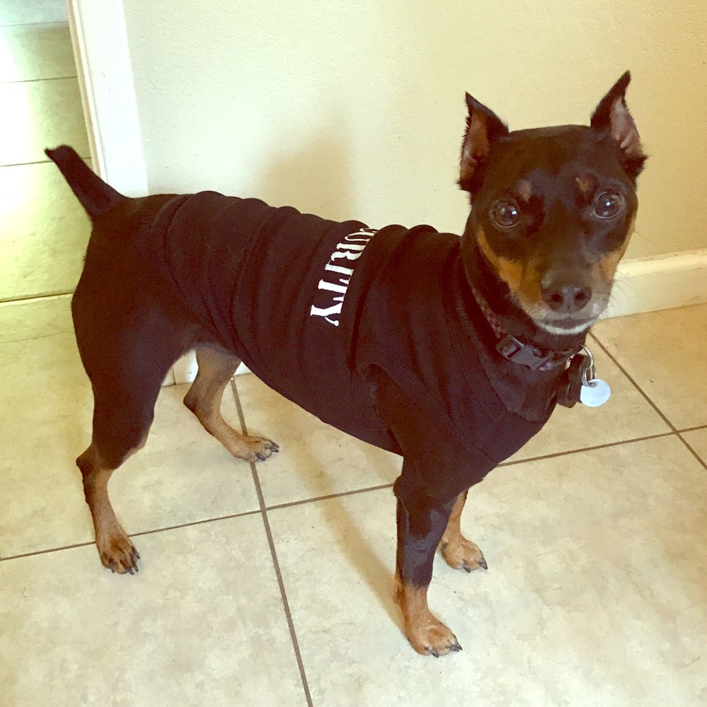 "Security" Dog Shirt