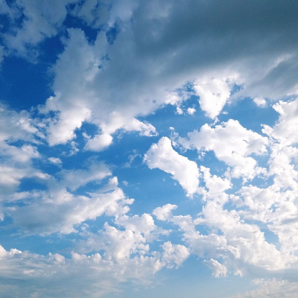 Meet your Posher, Rob