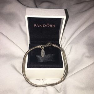 Pandora sterling silver charm bracelet