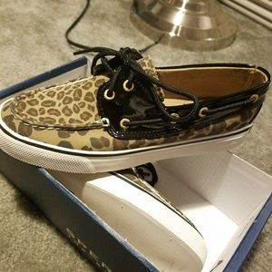 Sperrys