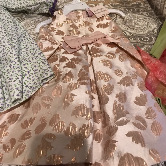 Dresses - Picture 2 of 4