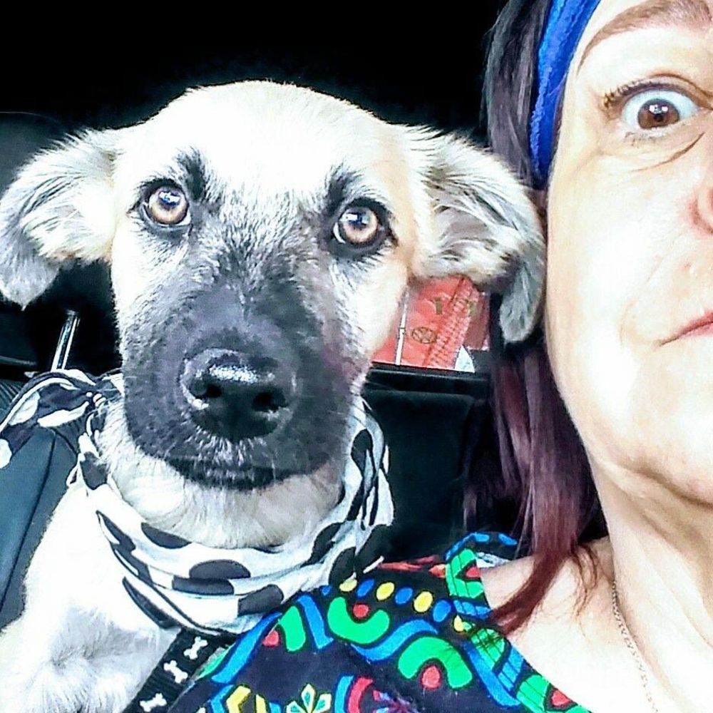 Meet your Posher, Debra