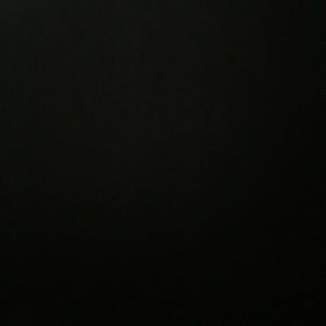 Meet your Posher, Alondra