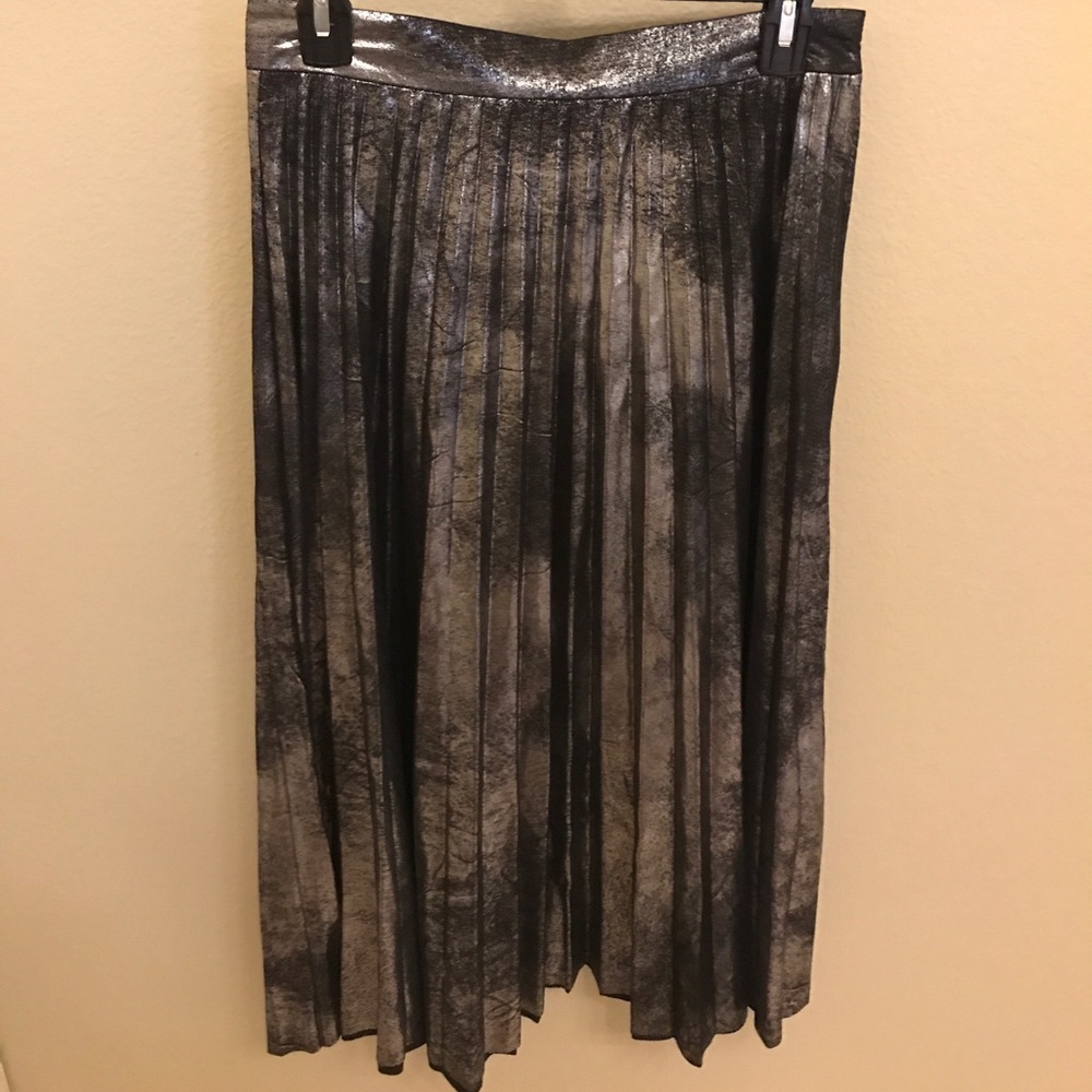 Metallic Zara Skirt