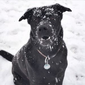 Meet your Posher, Haley