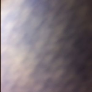 Meet your Posher, Elaina