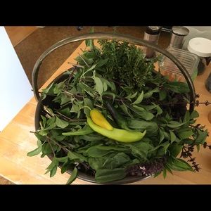 Meet your Posher, Ann