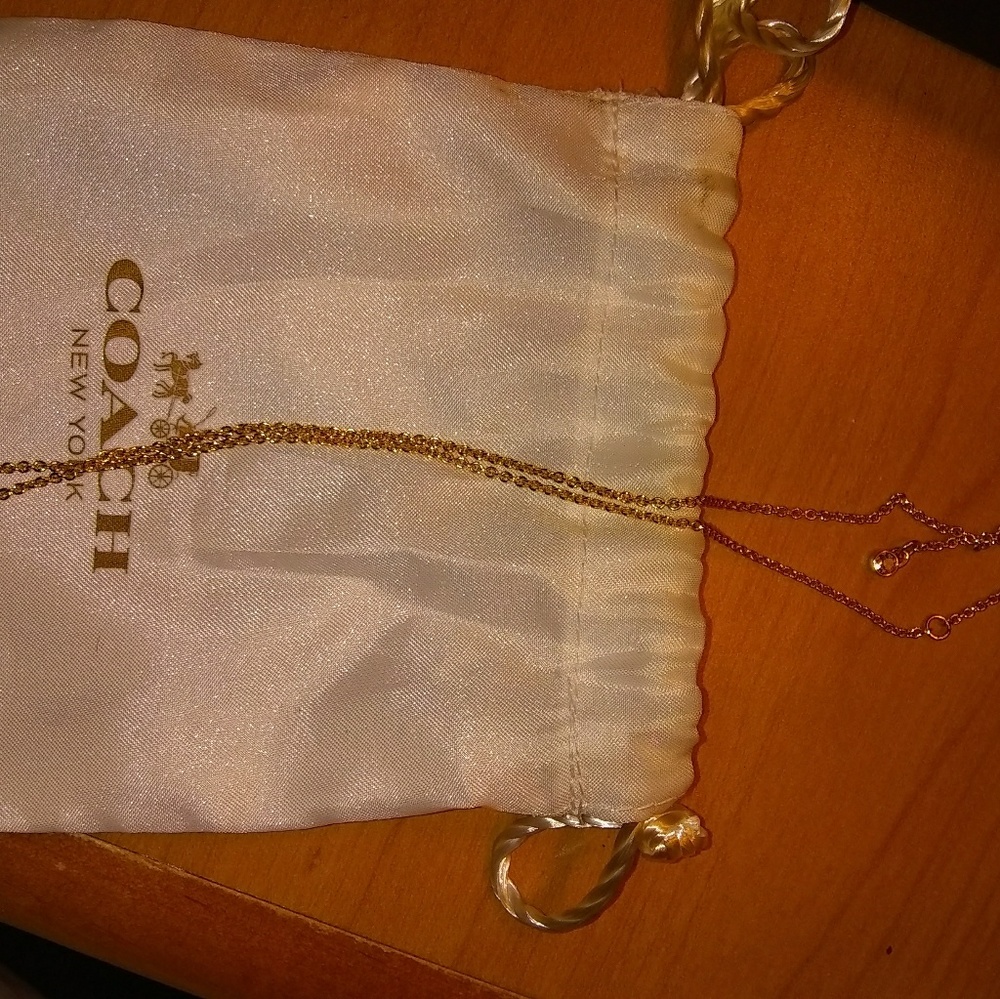 Coach double pendent necklace - Picture 2 of 6