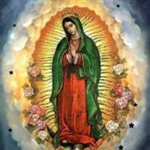 Meet your Posher, Alberto