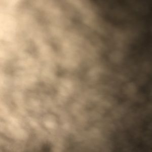 Meet your Posher, Ben