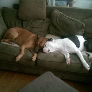 Meet your Posher, Kyla