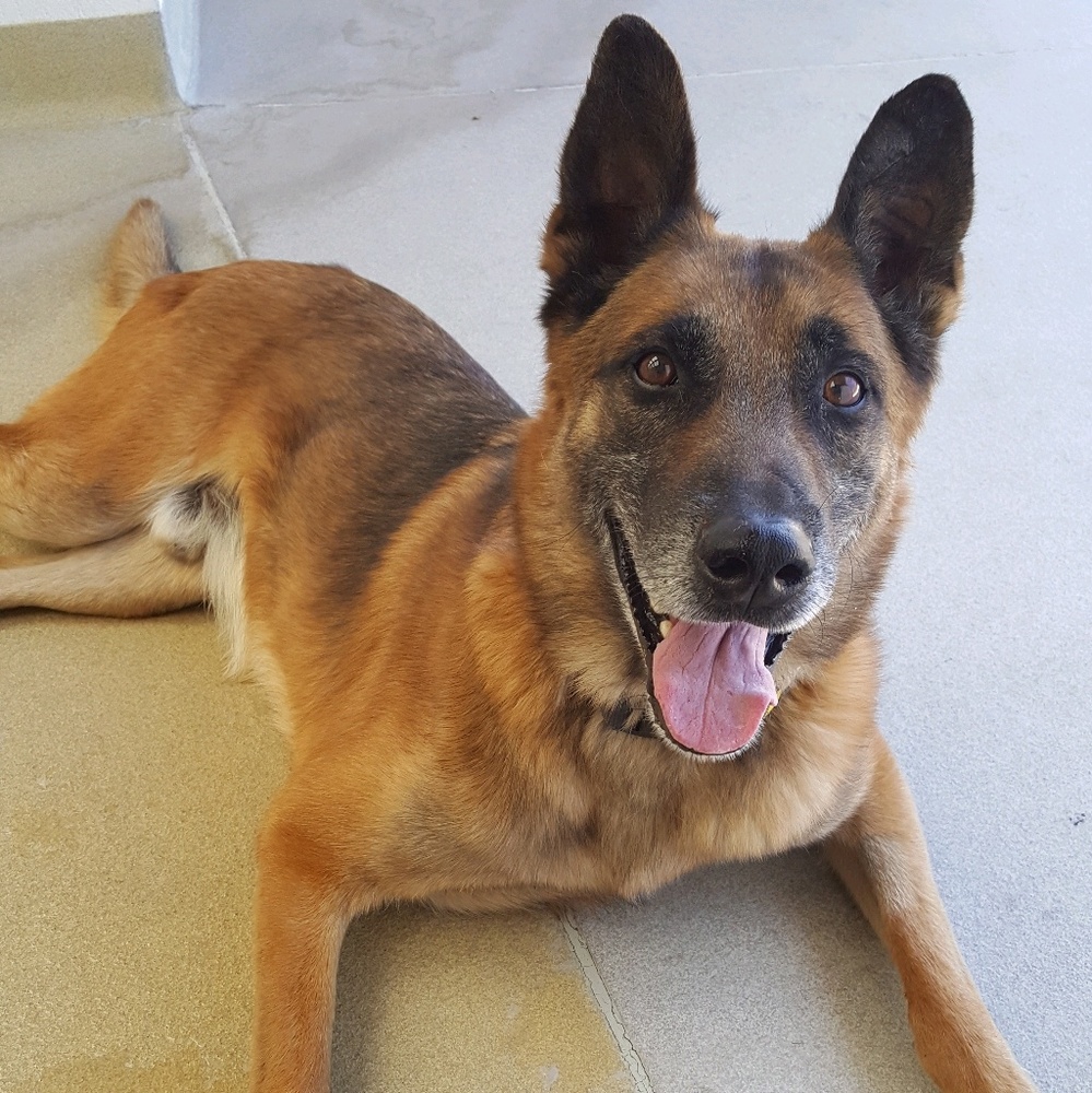 Meet your Posher, Elise