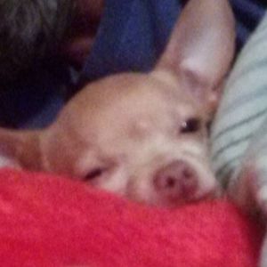 Meet your Posher, Cheri