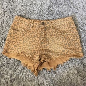 LAST CHANCE Leopard Shorts