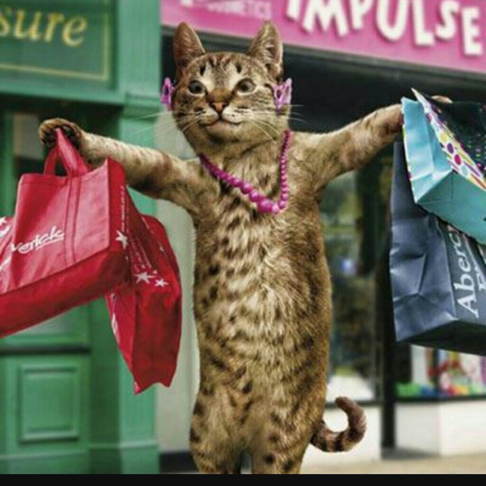 Bundle & Save!!!! Posh Ambassador!!!!!