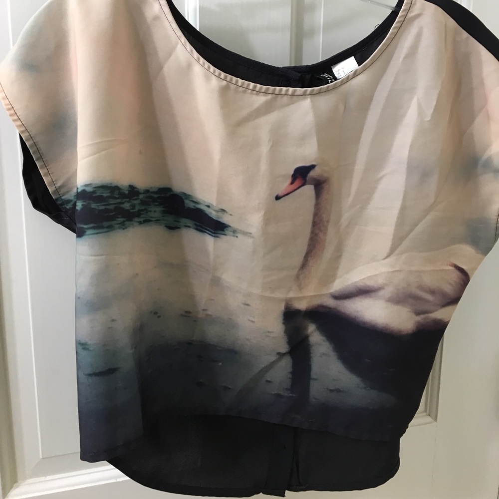 Buff colored swan top