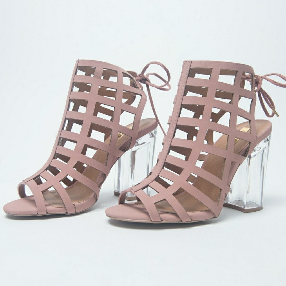 Mauve Shoes with Clear Block Heels