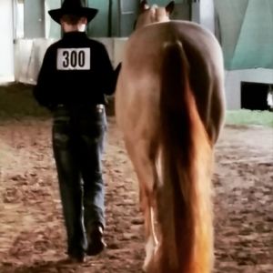 Meet your Posher, Bentley