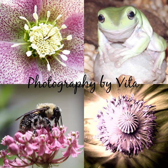 Meet your Posher, Jovita - Picture 4 of 5