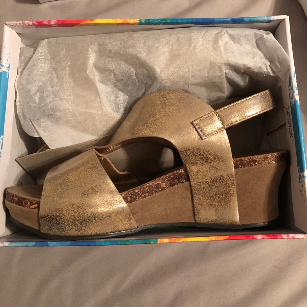 Pierre Dumas wedge