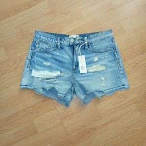 New Gilded Intent Shorts