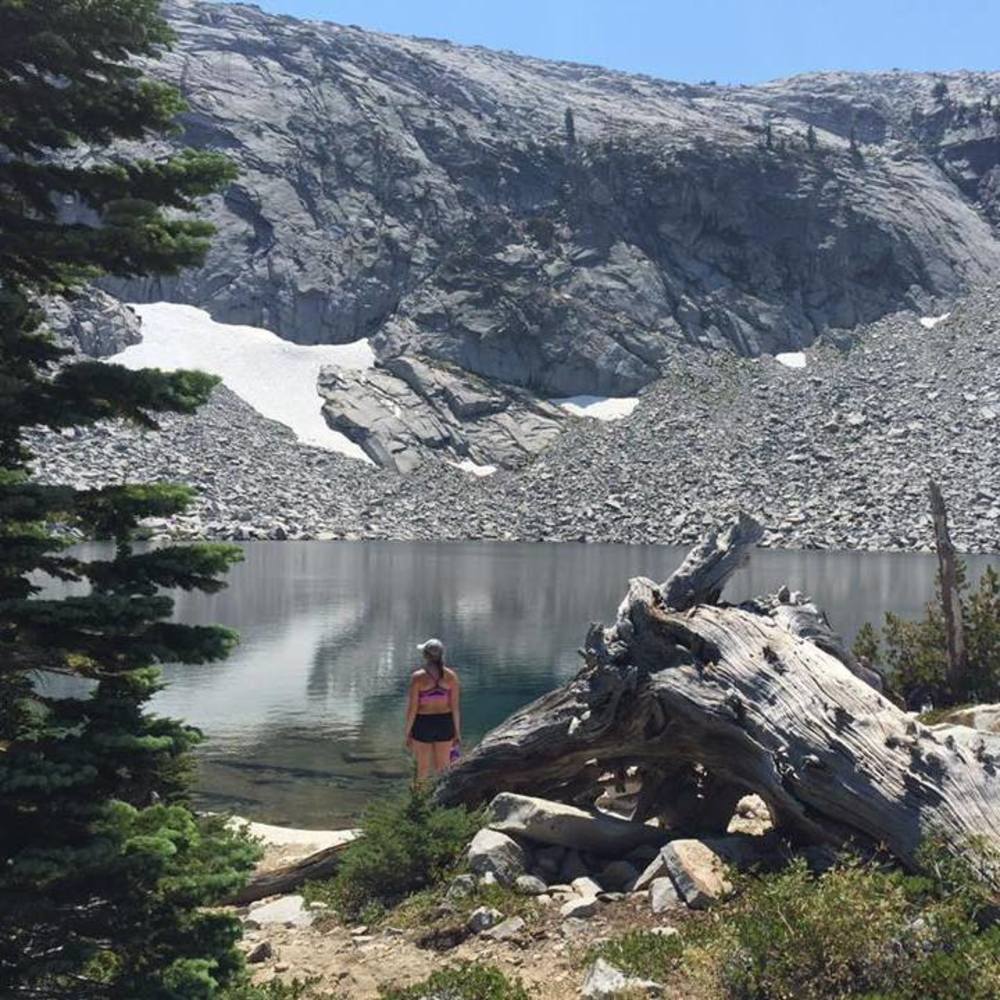 Meet your Posher, Taylor