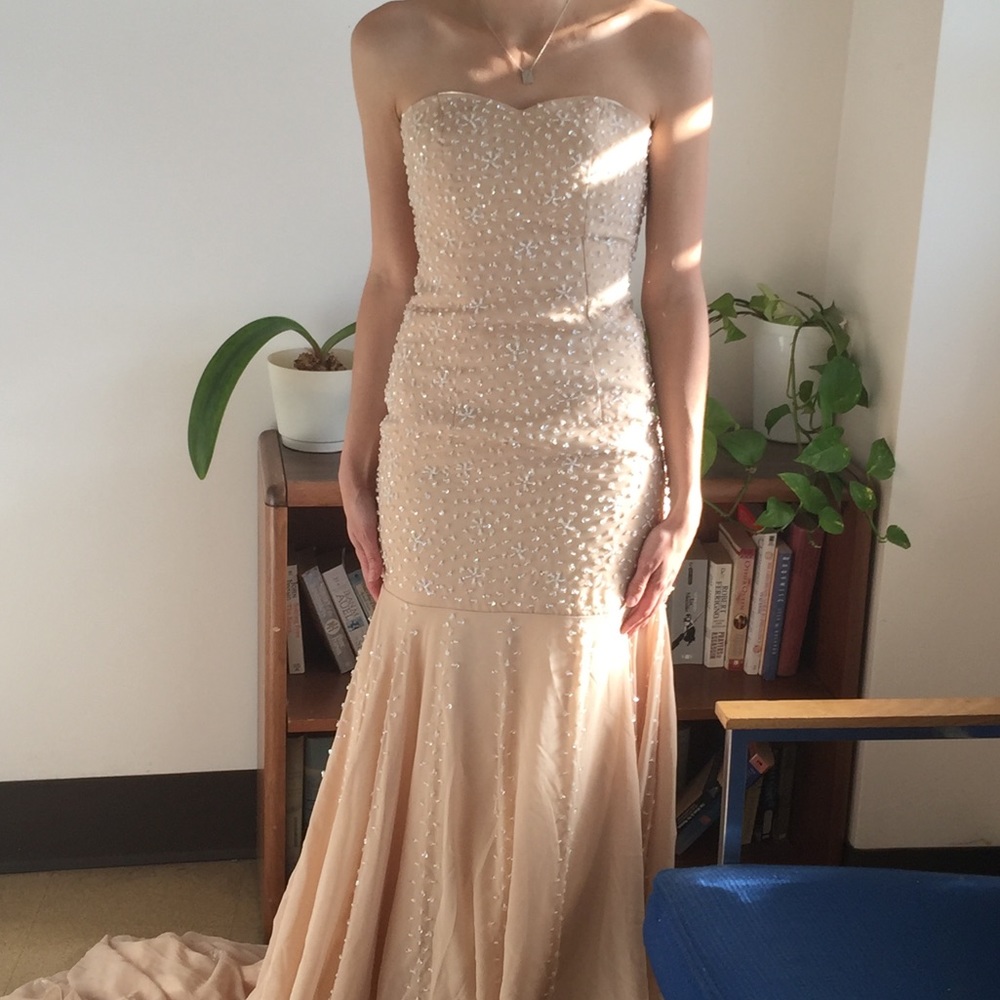 Beautiful evening gown