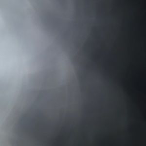 Meet your Posher, Bailey